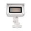 LED Flood Light
