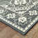 Junor Oriental Indoor / Outdoor Rug