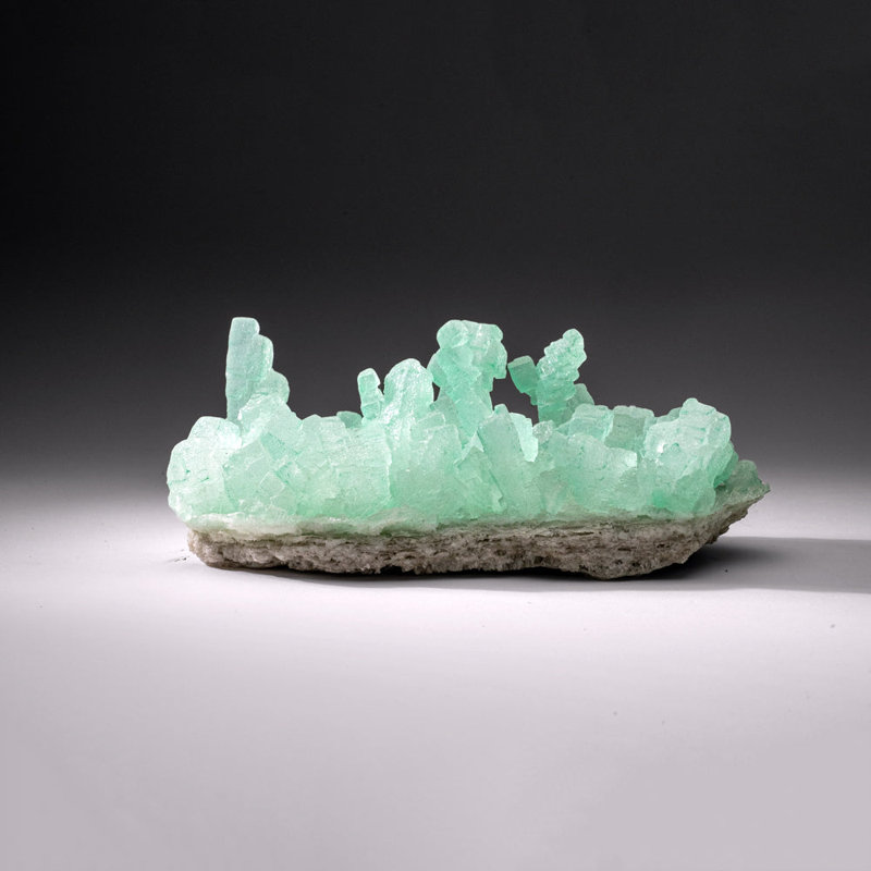 Vert Halite