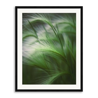 Soft Grass Print by Scott Norris