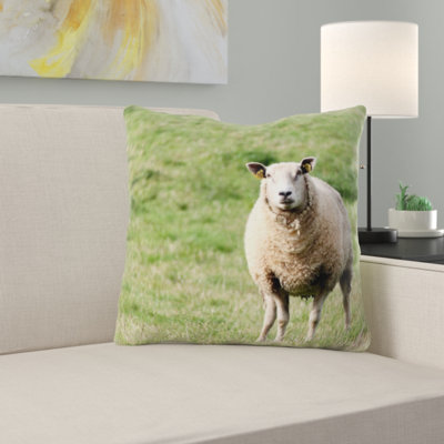 Microsuede Throw Pillow