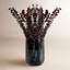 Ensemble de 4 bouquets d'eucalyptus séchés-209624966