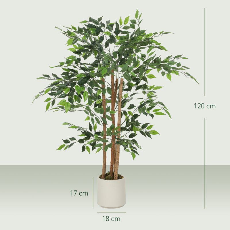 Plant, 120 cm x 55 cm