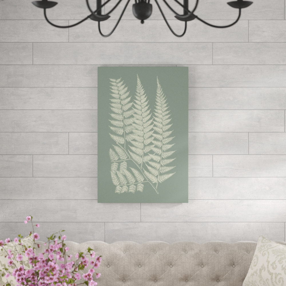 " Ferns On Sage III " by Vision Studio Painting Print Sand & Stable™ 