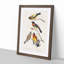 Grosbeak Birds by John Audubon - Framed Print-55608929-55608930