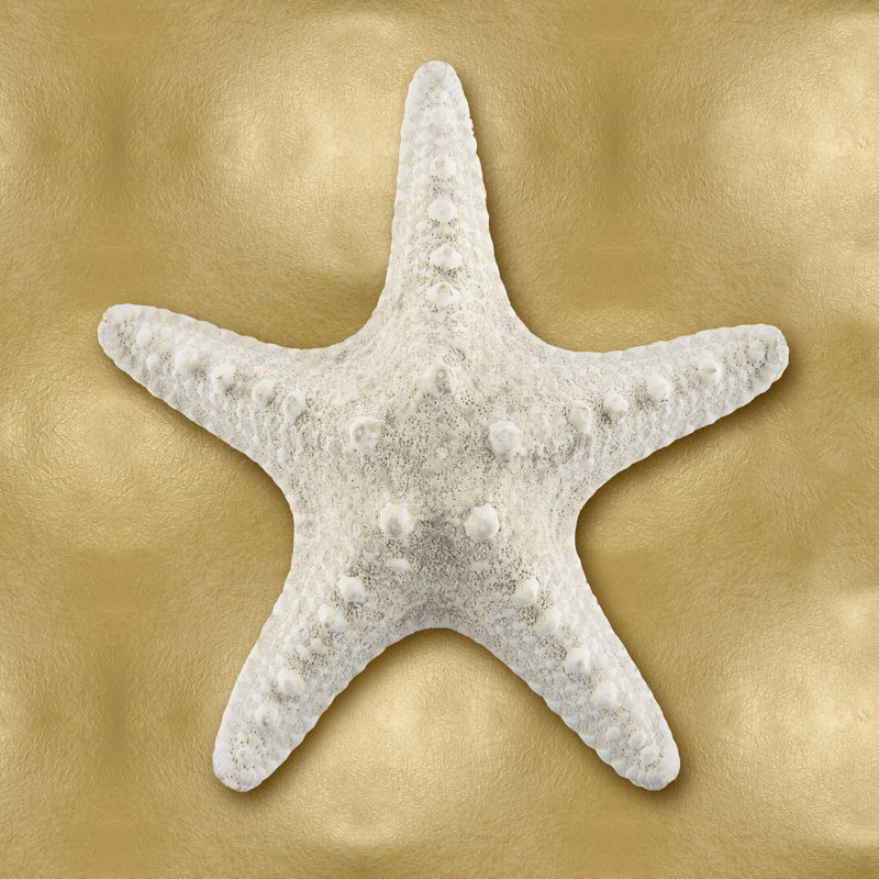 Ocean Gem on Gold VI 1 Piece Wrapped Canvas Wall Art, 122cm H x 122cm W