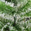 Artificial Spruce Christmas Tree-1343526052
