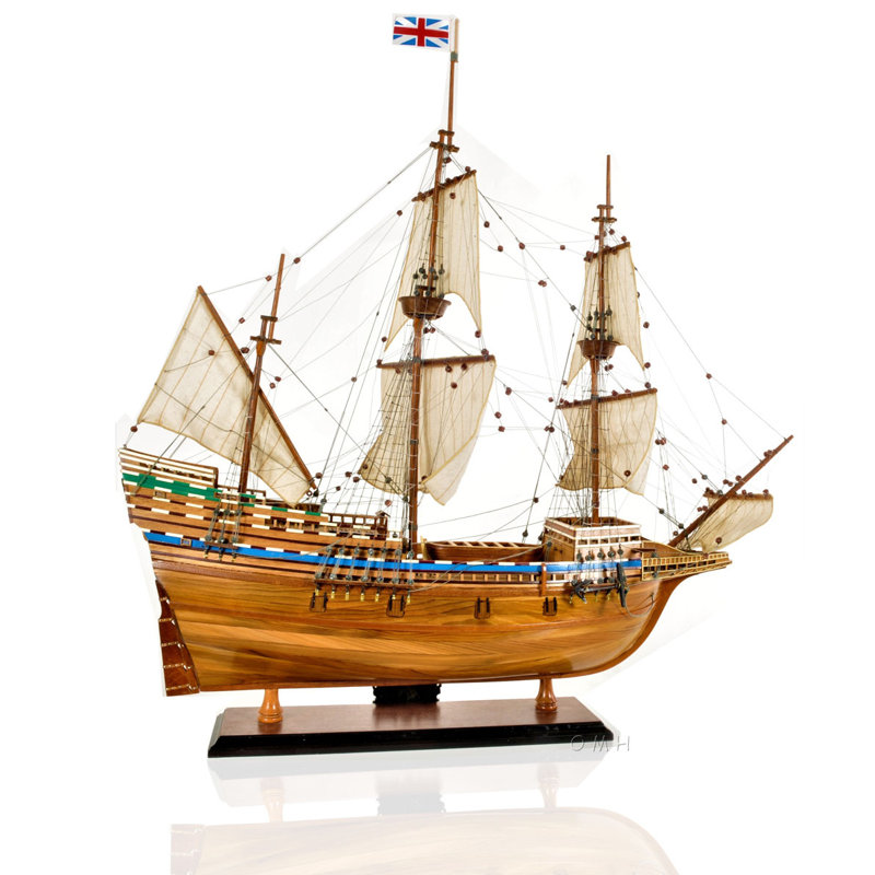 Mayflower de haute qualité Guadalupe
