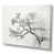 Wrapped Canvas