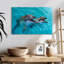Brampt, dauphins mignons-108736554