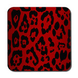 Square 6 Piece Coaster Set
