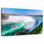 Alvord Tour In Niagara Falls-108690133