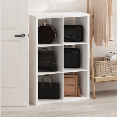 Furinno Cubic Open Back Multipurpose Clothing & Closet Storage Organizer Shelf, 6-Cube by Ebern Designs