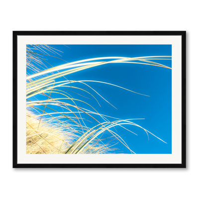 Dune Grasses Print by Petra Trimmel