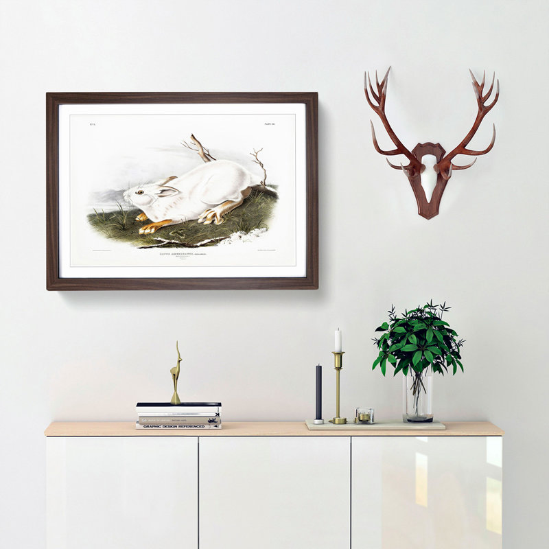 Northern Hare in Winter by J.W. Audubon - Picture Frame Painting Print, 62cm H x 87cm W x 2cm D, Walnut Framed