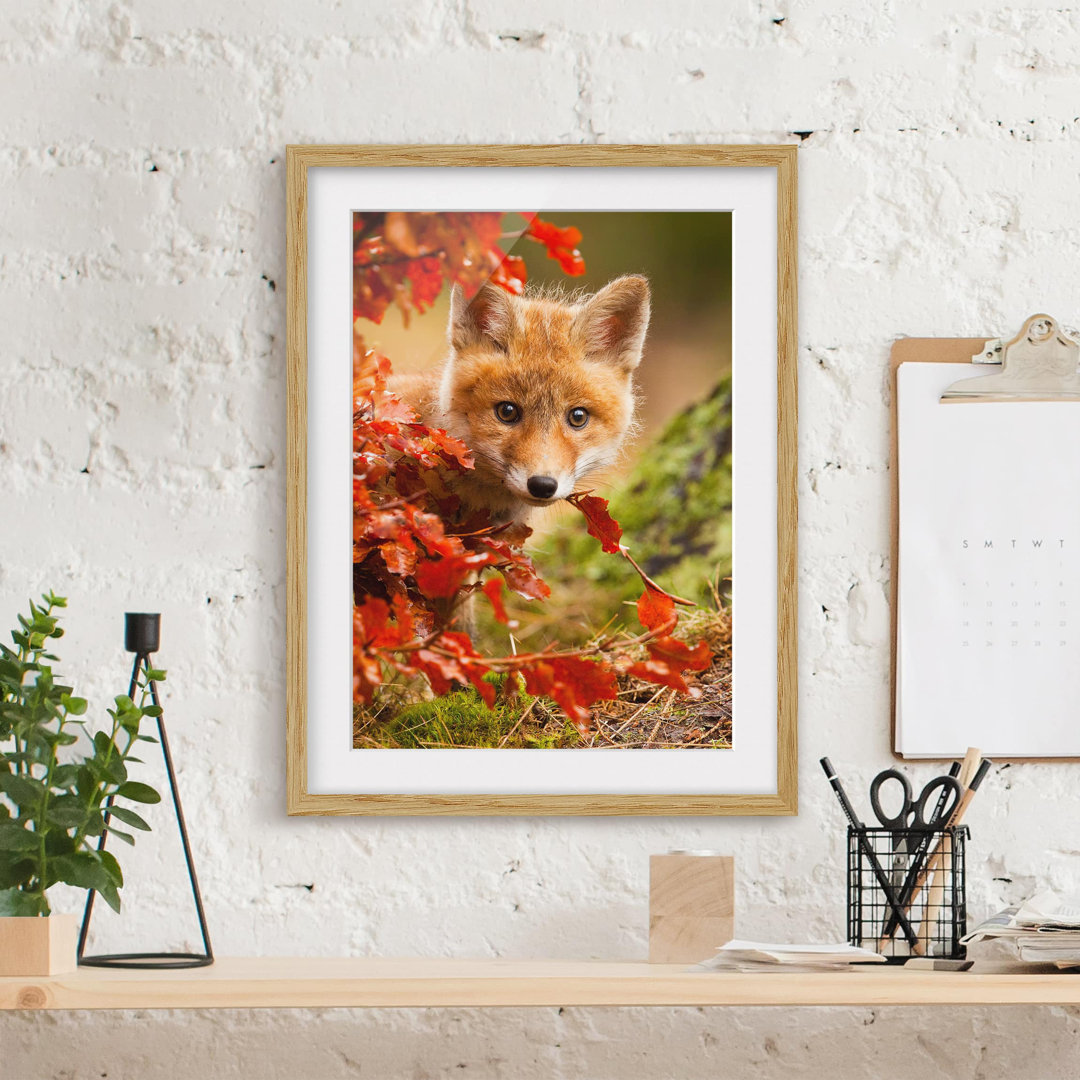 Gerahmtes Papierbild Fuchs im Herbst