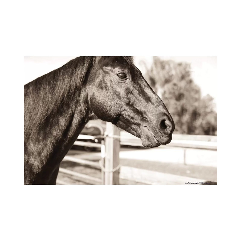 Hello There 1 Piece Wrapped Canvas Wall Art, 101.6 cm H x 66.04 cm W x 1.91 cm D