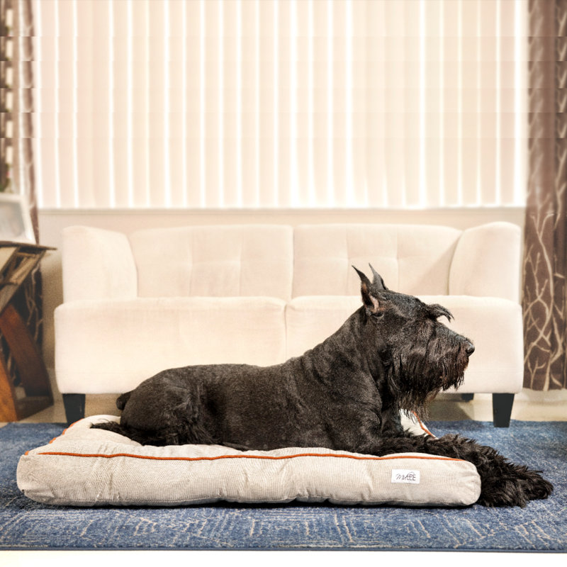 Coussin touffeté pour chien, Grand (l 40 po x P 28 po x H 5 po)