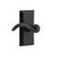 Ageless Iron Vale Plate with Tine Lever-487175684