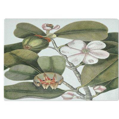 Tempered Glass Balsam Tree Flowers Chopping Board