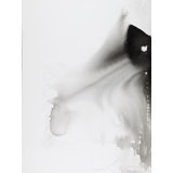 Black Splash I Print by Joyce Creiger