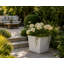 Daisy Square Stone Effect Planter Pot, Indoor and Outdoor Plant Pot, Frost Resistant with Drainage Hole-322213145-322213146
