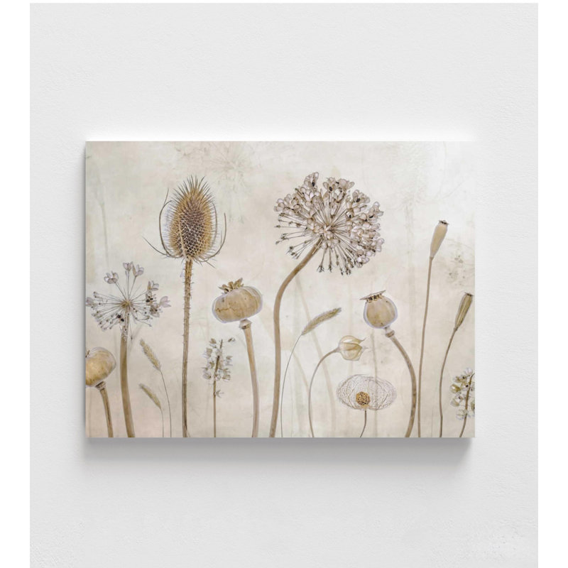 Whispered Meadow - reproduction d'art botanique neutre, H 12 po x l 16 po, Ne s’applique pas, Impression sans cadre