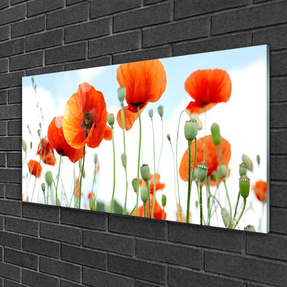 Glasbild Floral Mohnblumen