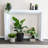 Fireplace Mantel Surround-2069019048