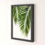 Palm Leaf II - Print-39523783-39523784