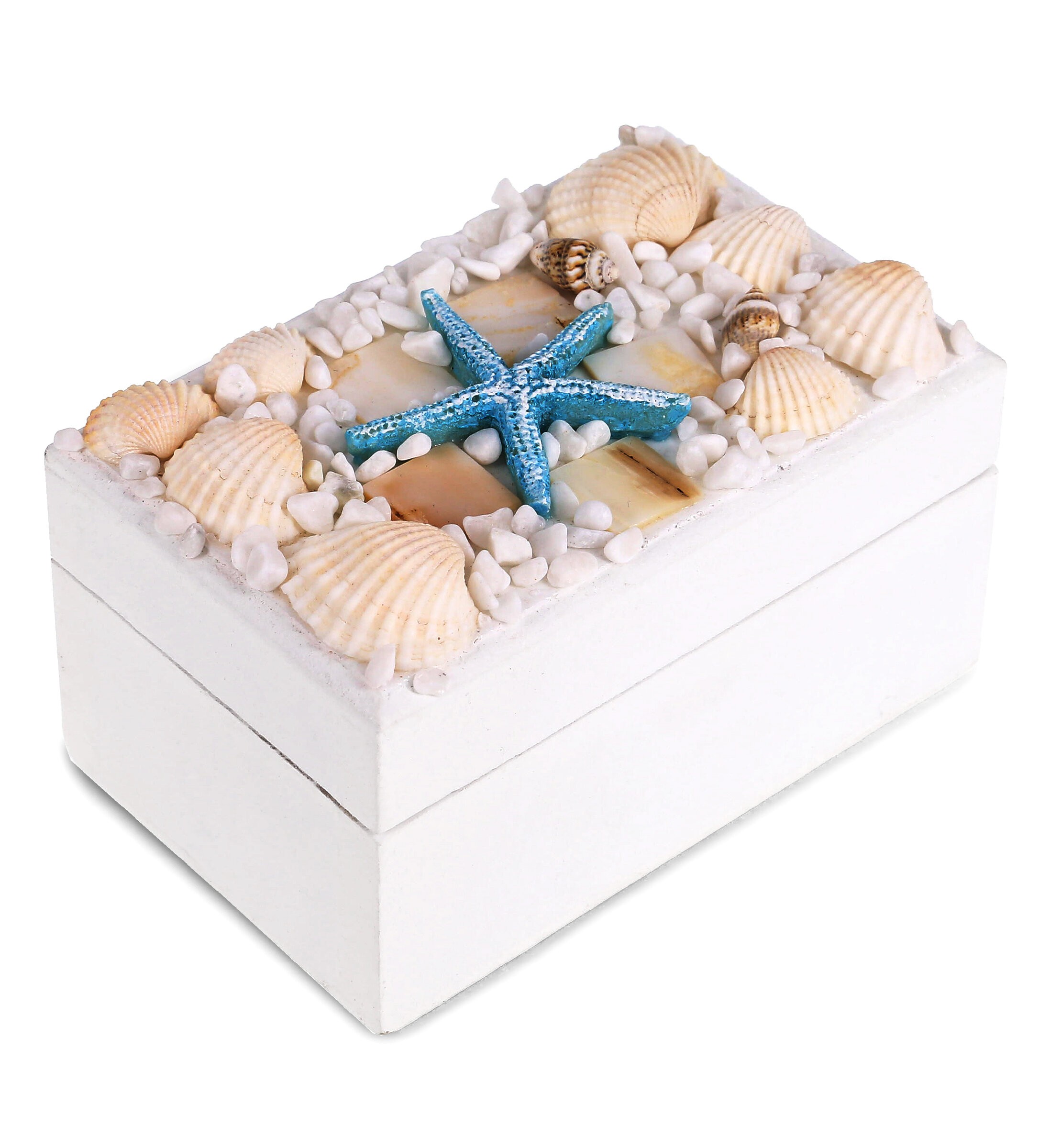 Shell Storage Box, Porcelain Storage Box, Beach Decor, figurine