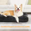 Lits pour chien Eibhlis-1492127123-1542043857