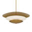 Luminaire suspendu 5 lumières