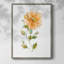 Bright Botanical II, reproduction encadrée - bois massif 48377-1967777118