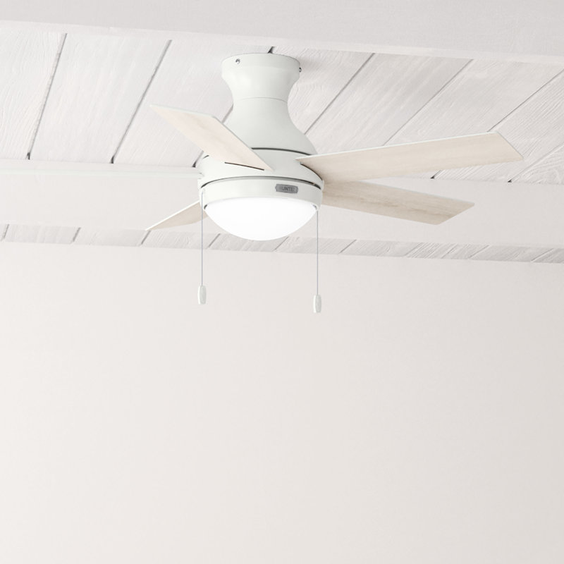 44" Aren 5 - Blade Flush Mount Ceiling Fan with Pull Chain and Light Kit Included, White