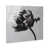 High-Gloss Acrylic Print is unavailable