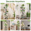 Plant Stand - Set of 7