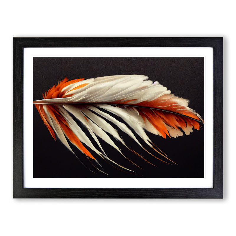 Bird Feather - Single Picture Frame Print, Black Framed, 25cm H x 34cm W x 2cm D
