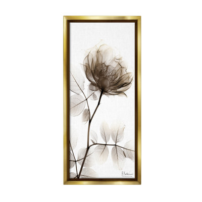 «Contemporary X-Ray Flower Floater Frame» par Albert Koetsier sur