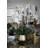 Roberi Arrangement in Pot-311770224-318745110