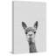Llama Face III - Drawing on Canvas-350651102