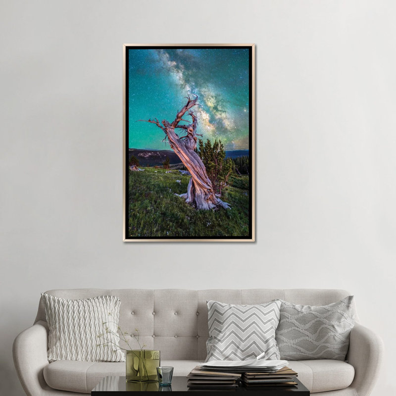 Milky Way Night Sky Over Antique Bristlecone pin in Colorado - reproduction d'art mural - toile encadrée, 48 po x 32 po