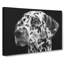 Dalmatian Dog - Wrapped Canvas-61848885
