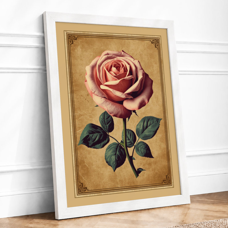 Single Rose In Bloom Botanical - Print, A3 - 42.0 x 29.7 cm, White