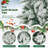 Lighted Christmas Tree-1009174070