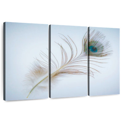 Plume de paon Kerner en bleu