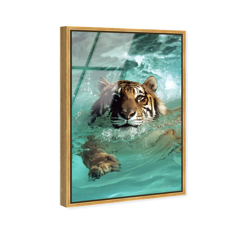 Oliver Gal Feline Pool Dip Animals - Framed Acrylic Glass Wall Art, Black, 24" H x 16" W
