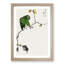 Green Fairy Pitta Bird by Numata Kashu - Picture Frame Painting Print-55736068-55736071