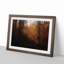 Sunrays in an Autumn Forest in Abstract - Framed Print-55727148-55727146