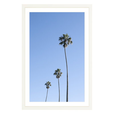 Plants & Flowers Print